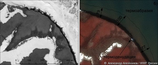 Satellite Images of Vize Island in 2009 (left) and 2016 (right). Image: Alexander Aleynikov / WWF-Russia